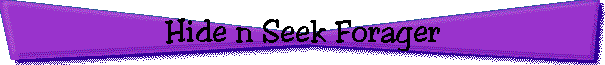 Hide n Seek Forager